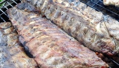 Bliss Caterers
